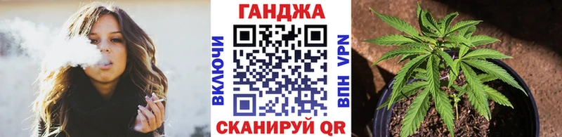 где найти наркотики  Саратов  Конопля индика 